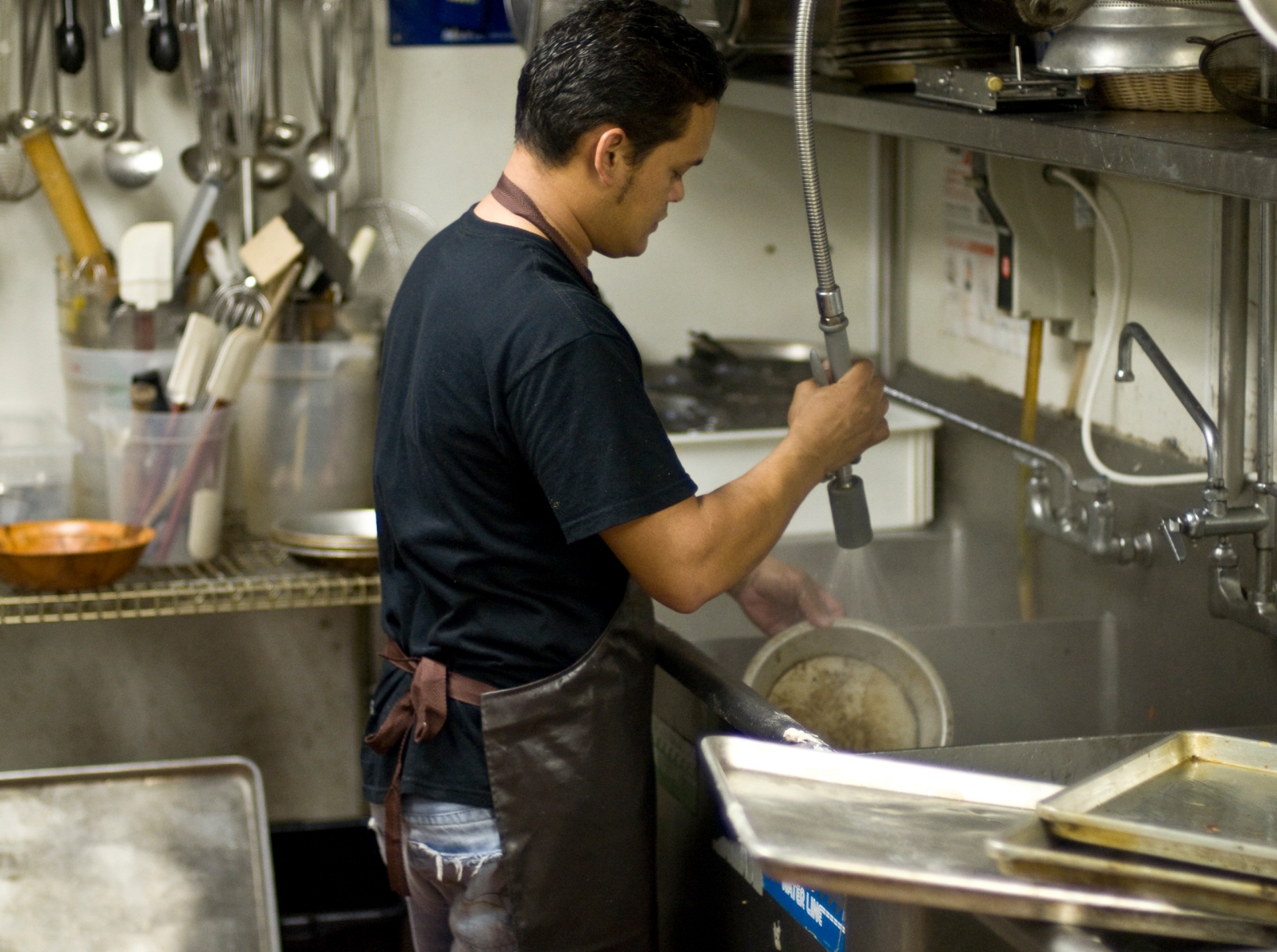 Dishwasher Olive Garden Tampa Fl Culinary Job Board
